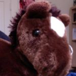 howdy horsey